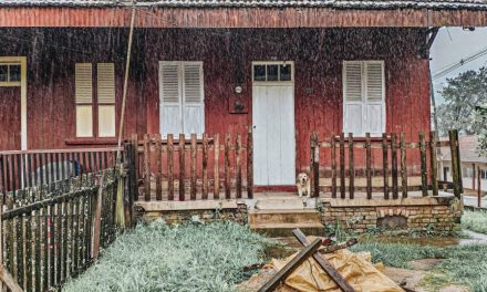 Cara Menjaga Rumah Dan Lingkungan Aman Saat Musim Hujan