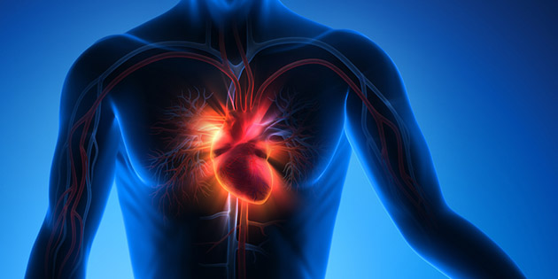 Gejala Dan Pencegahan Penyakit Jantung Yang Perlu Diwaspadai