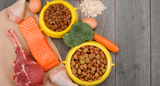 Makanan Dan Nutrisi Yang Tepat Untuk Kucing Peliharaan