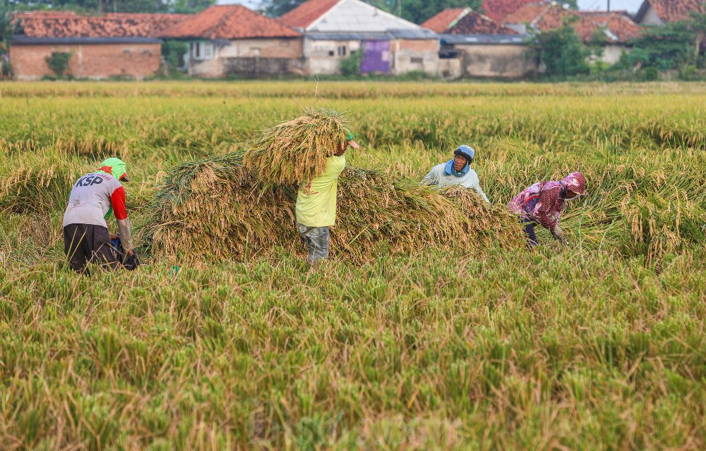 BBM Naik, Harga Naik: Dampak Langsung Bagi Ekonomi Keluarga