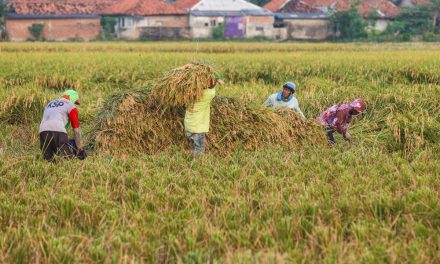 BBM Naik, Harga Naik: Dampak Langsung Bagi Ekonomi Keluarga