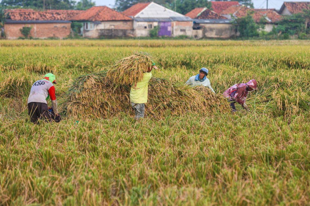 BBM Naik, Harga Naik: Dampak Langsung Bagi Ekonomi Keluarga