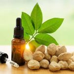 Potensi Kemiri Jadi Komoditas Unggulan Dalam Industri Herbal