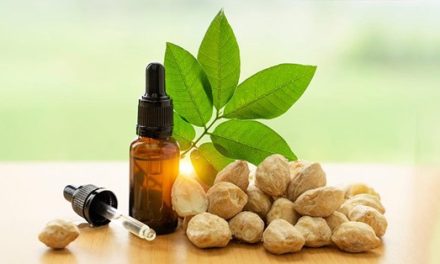 Potensi Kemiri Jadi Komoditas Unggulan Dalam Industri Herbal