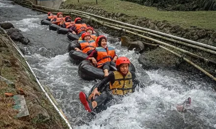 Destinasi Wisata Alam Bukit Lawang Memikat Wisatawan Dunia