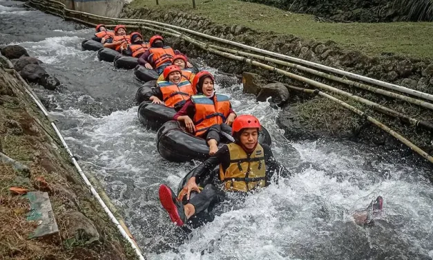 Destinasi Wisata Alam Bukit Lawang Memikat Wisatawan Dunia