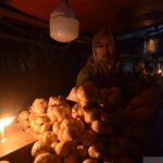 Pemadaman Listrik Jadi Rutinitas: Tantangan Bagi Pelaku Usaha
