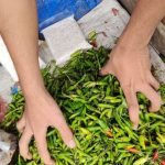 Pemerintah Diminta Stabilkan Harga Makanan Dan Bahan Pokok