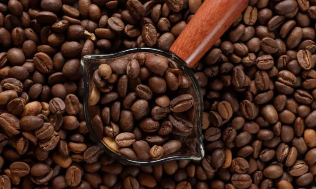 Kopi Indonesia: Mengenal Kekayaan Rasa Dari Berbagai Daerah