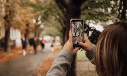 Fotografi Dengan Ponsel: Gadget Menghasilkan Gambar Menarik