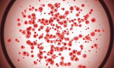Leukemia: Mengenal Penyakit Darah, Gejala, Dan Penanganan