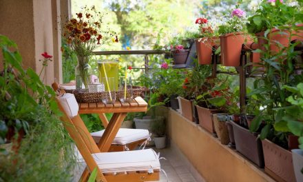 Taman Di Balkon: Memanfaatkan Area Kecil Untuk Tanaman