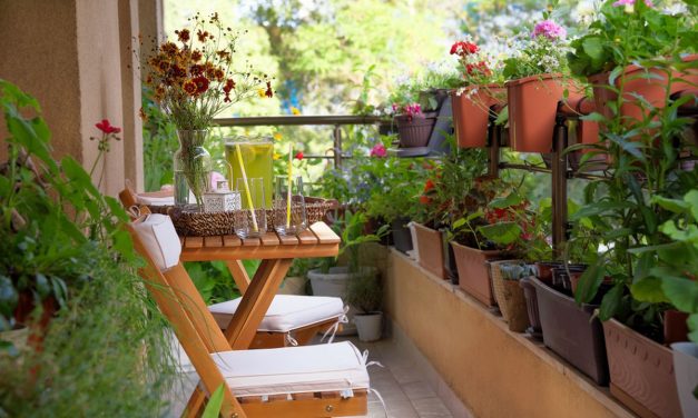 Taman Di Balkon: Memanfaatkan Area Kecil Untuk Tanaman