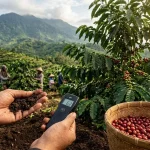 Kopi Sumatra: Kekayaan Cita Rasa Dari Perkebunan Indonesia